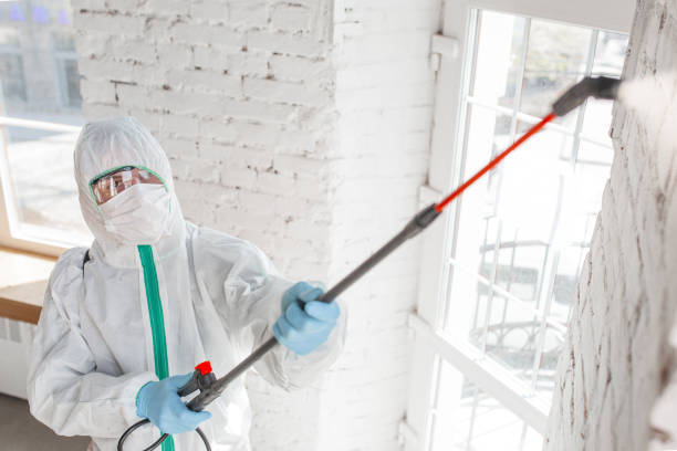 Best Industrial Mold Remediation  in Eslon, CA