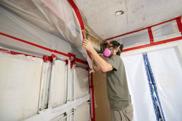 Best Biohazard Mold Removal  in Eslon, CA